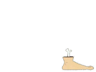 Foot