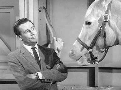 A horse is a horse...